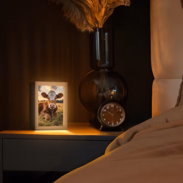 Koe - Dier - Weiland - Gras - Dieren - Natuur Light Box met kabel (Tafellamp) klein -sfeer1