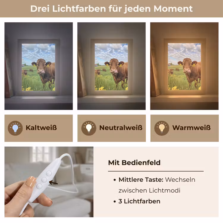 Koe - Weide - Bloemen Light Box met kabel (Tafellamp) klein -USP_lichtkleurDE