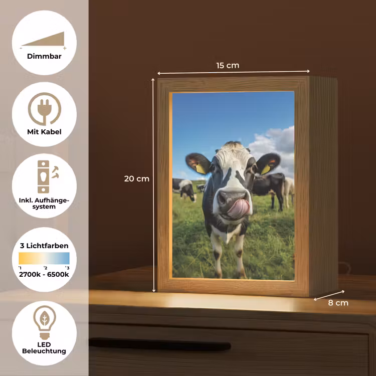 Koe - Tong - Weide Light Box met kabel (Tafellamp) klein -USP_DE