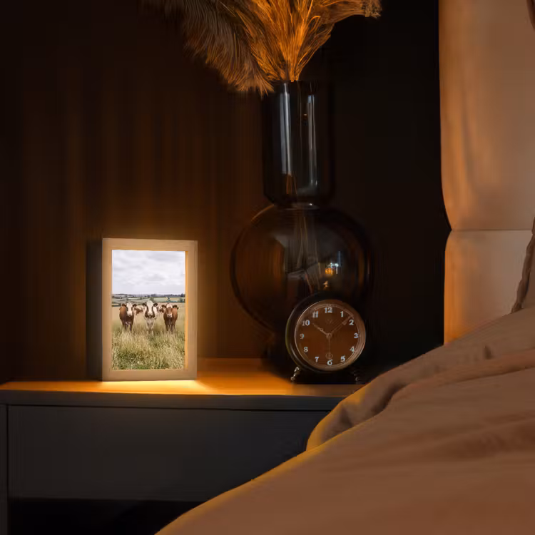 Koeien - Portret - Weide - Boerderij - Nieuwsgierig Light Box met kabel (Tafellamp) klein -sfeer1