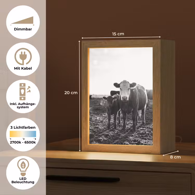 Koeien - Zwart - Wit Light Box met kabel (Tafellamp) klein -USP_DE