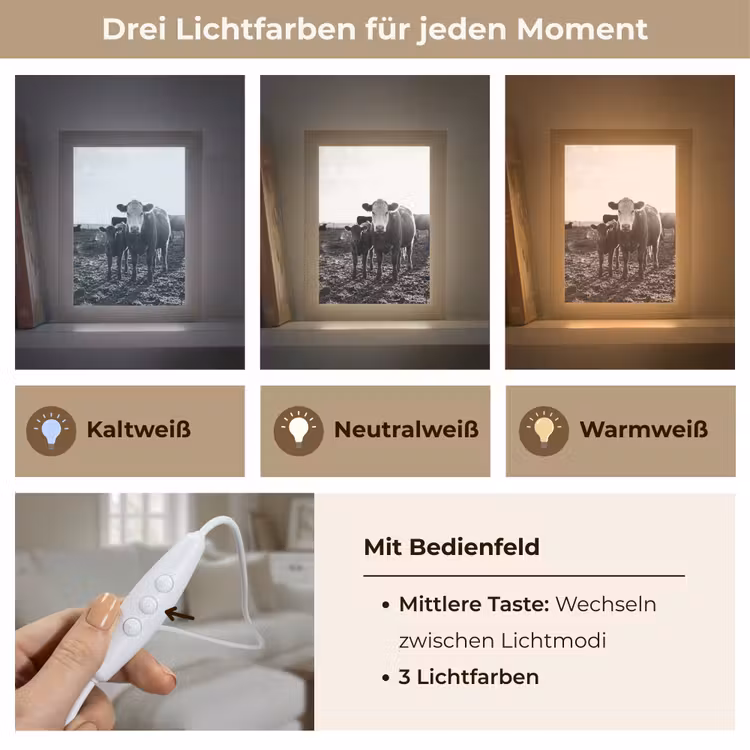 Koeien - Zwart - Wit Light Box met kabel (Tafellamp) klein -USP_lichtkleurDE