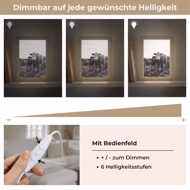 Koeien - Zwart - Wit Light Box met kabel (Tafellamp) klein -USP_dimbaarDE