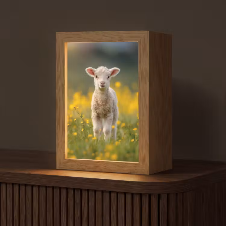 Lammetje - Gras - Bloemen - Geel Light Box met kabel (Tafellamp) klein -z3d_website
