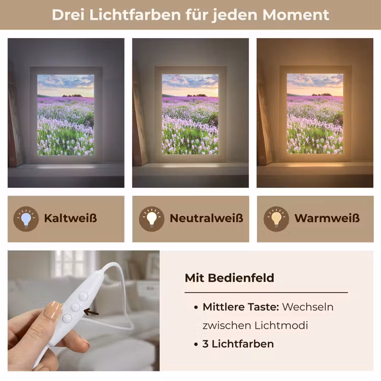 Lavendel - Bloemen - Zonsondergang - Paars - Weide Light Box met kabel (Tafellamp) klein -USP_lichtkleurDE