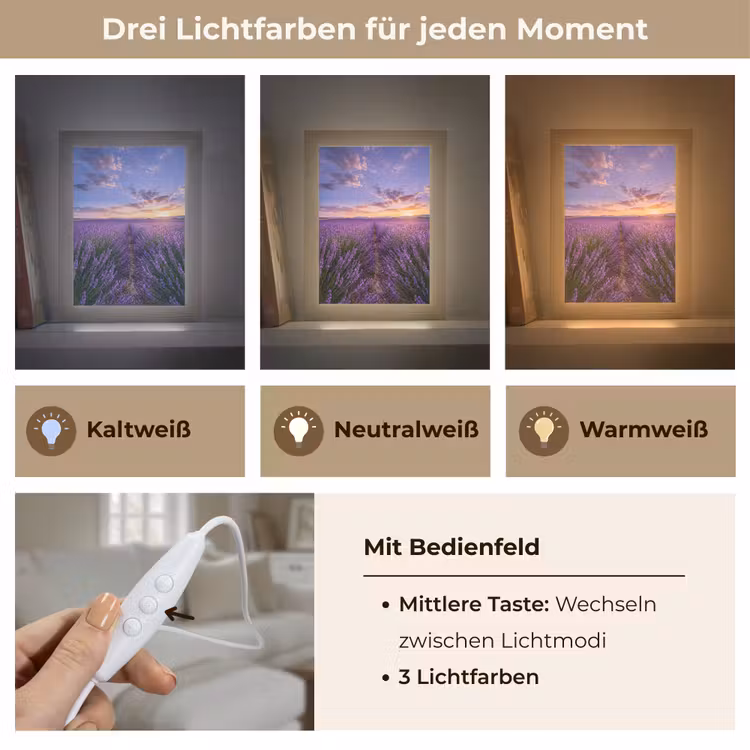 Lavendel - Veld - Natuur - Paars Light Box met kabel (Tafellamp) klein -USP_lichtkleurDE