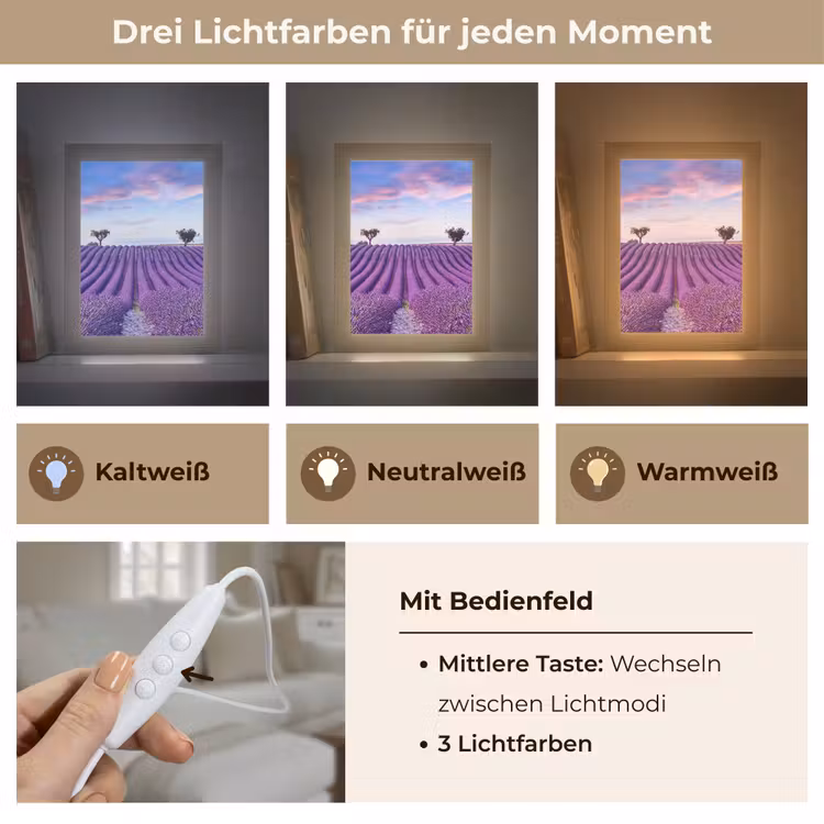 Lavendel - Natuur - Paars - Bomen - Bloemen Light Box met kabel (Tafellamp) klein -USP_lichtkleurDE