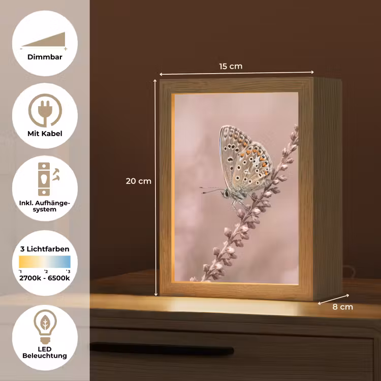 Lavendel - Vlinder - Paars Light Box met kabel (Tafellamp) klein -USP_DE