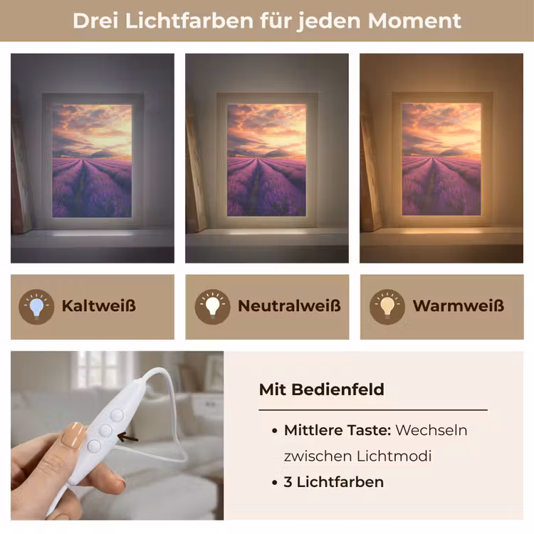 Lavendelveld - Zonsondergang - Paars Light Box met kabel (Tafellamp) klein -USP_lichtkleurDE
