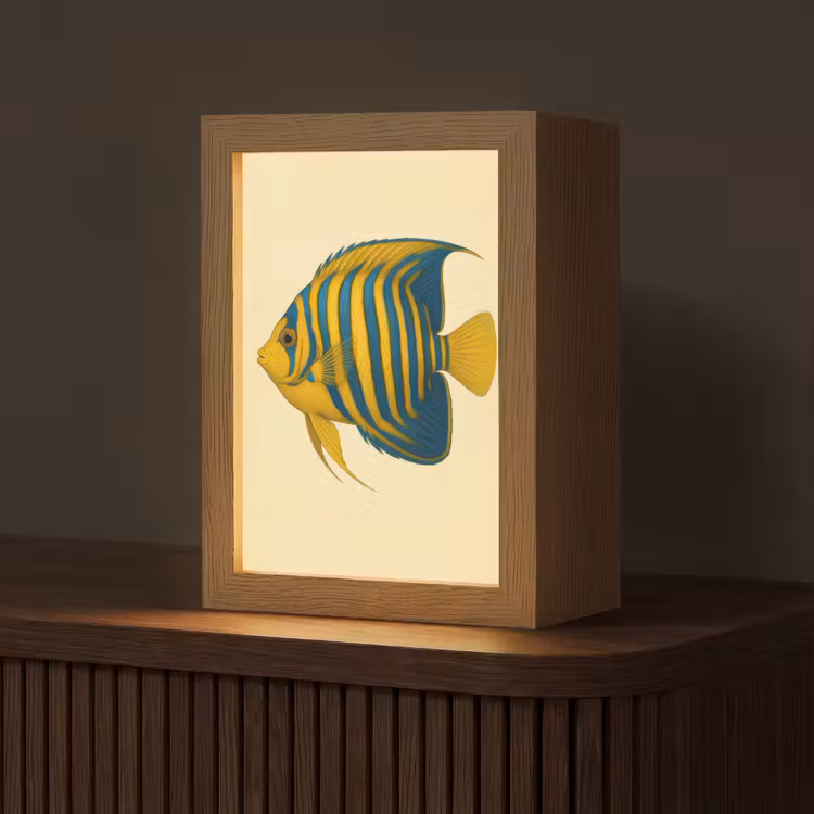 Felgeel - Vis - Strepen - Vinnen Light Box met kabel (Tafellamp) klein -z3d_website
