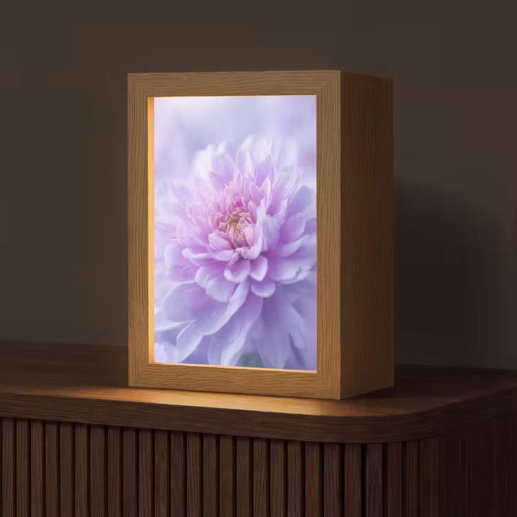 Paars - Dahlia - Dromerig Light Box met kabel (Tafellamp) klein -z3d_website