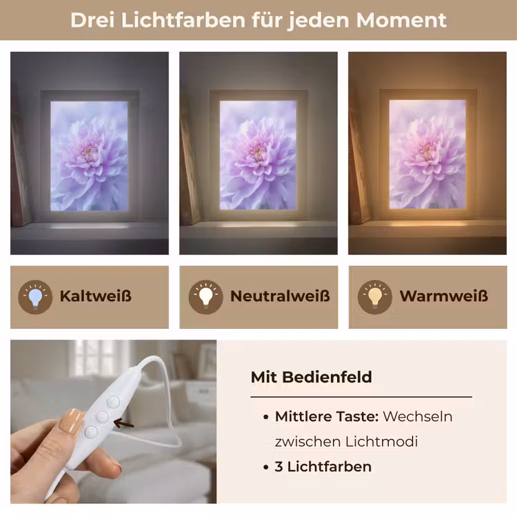 Paars - Dahlia - Dromerig Light Box met kabel (Tafellamp) klein -USP_lichtkleurDE