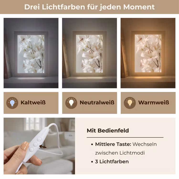 Lelies - Boekte - Wit - Meeldraden Light Box met kabel (Tafellamp) klein -USP_lichtkleurDE