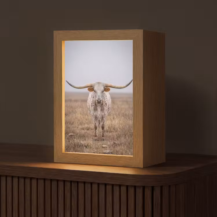 Longhorn - Grasveld - Dier Light Box met kabel (Tafellamp) klein -z3d_website