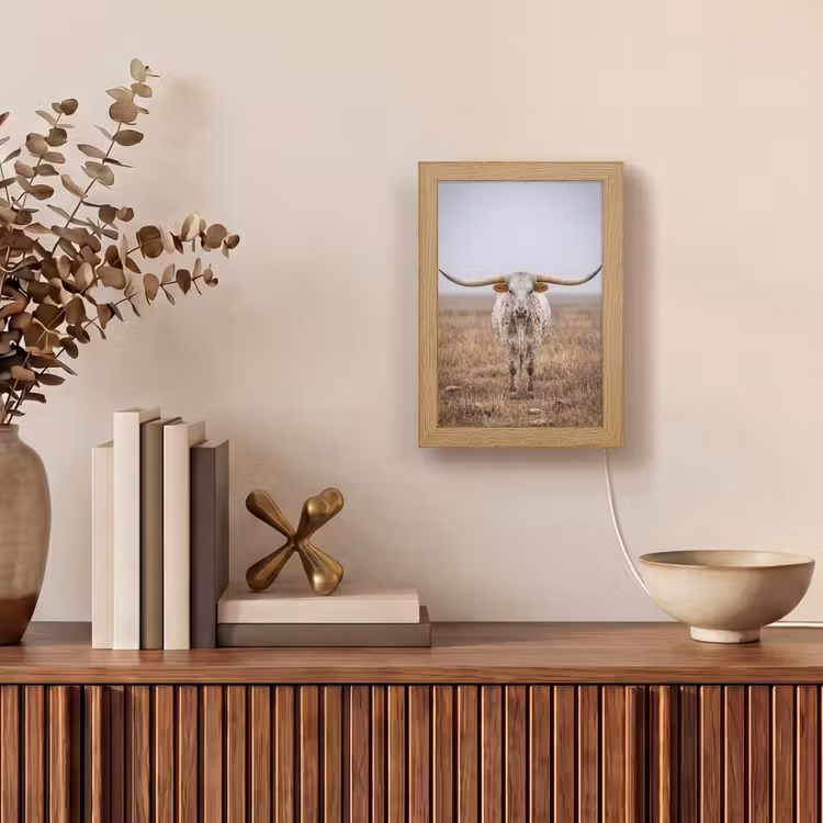 Longhorn - Grasveld - Dier Light Box met kabel (Tafellamp) klein -sfeer2