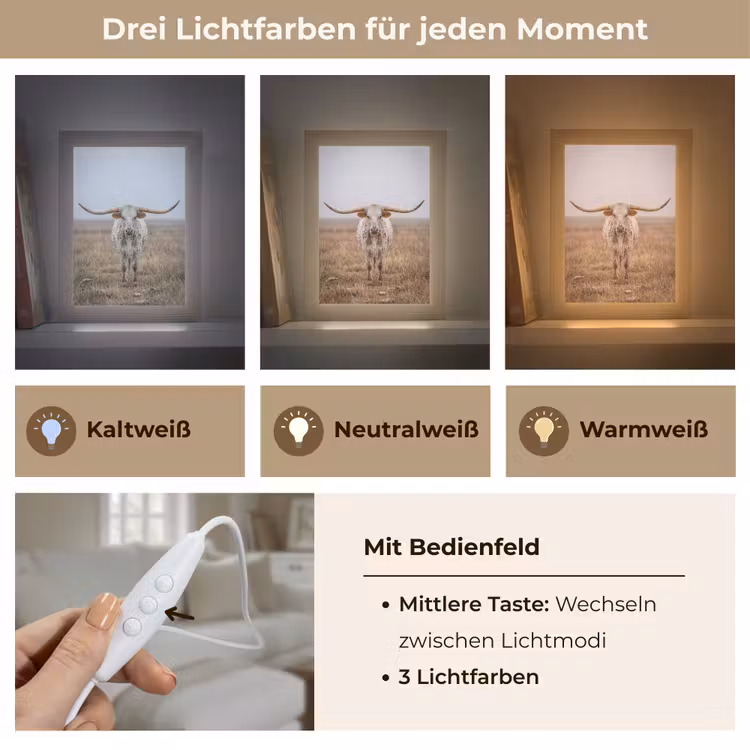 Longhorn - Grasveld - Dier Light Box met kabel (Tafellamp) klein -USP_lichtkleurDE