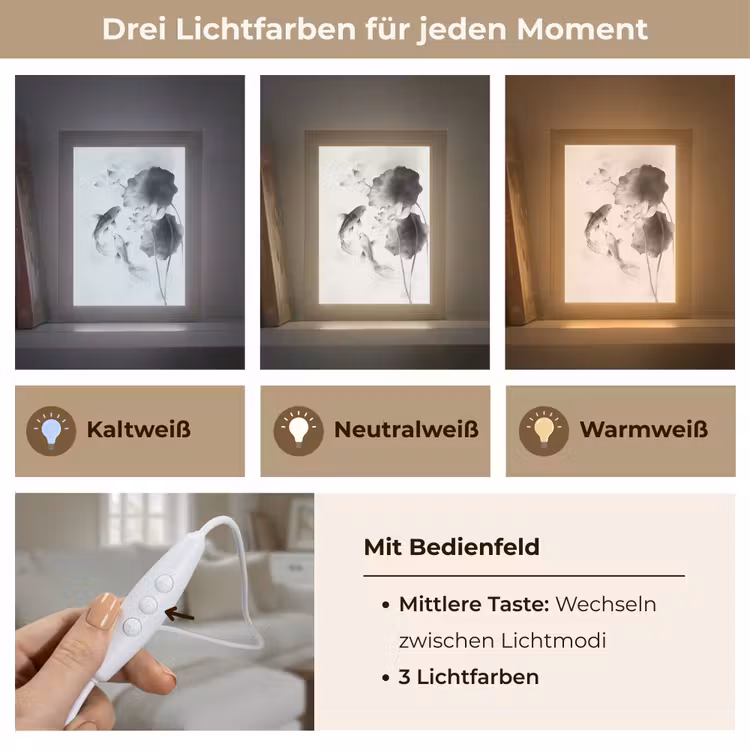 Lotusbloemen - Vissen - Bladeren - Zwart Light Box met kabel (Tafellamp) klein -USP_lichtkleurDE