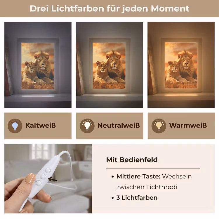 Leeuwen - Zonsondergang - Afrika - Savanne - Dieren Light Box met kabel (Tafellamp) klein -USP_lichtkleurDE