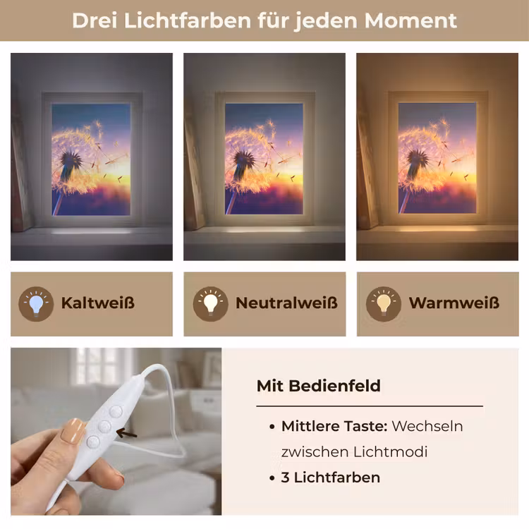 Paardenbloem - Bloemen - Zonsondergang - Horizon - Nacht Light Box met kabel (Tafellamp) klein -USP_lichtkleurDE