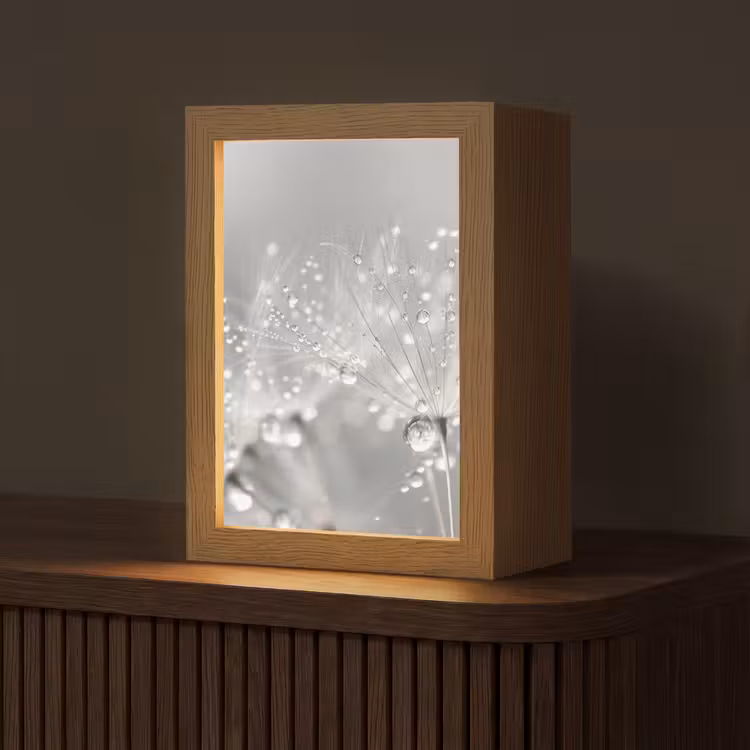 Paardenbloem - Waterdruppels - Stilleven - Modern Light Box met kabel (Tafellamp) klein -z3d_website