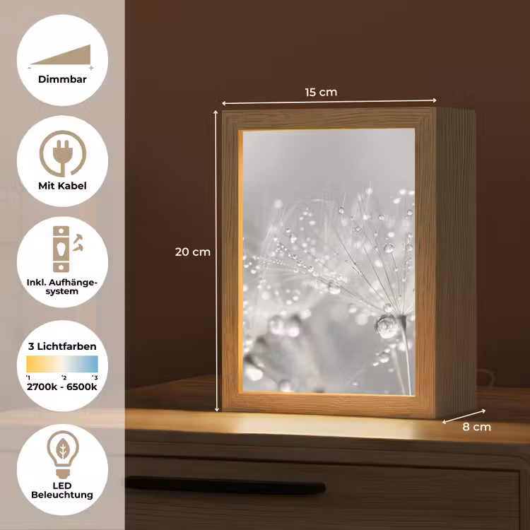 Paardenbloem - Waterdruppels - Stilleven - Modern Light Box met kabel (Tafellamp) klein -USP_DE
