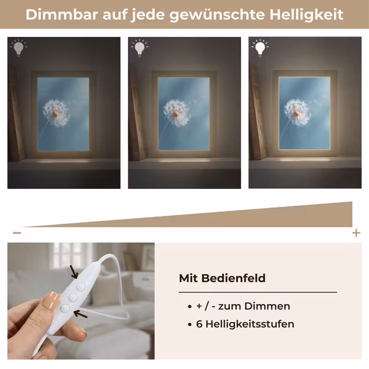Paardenbloem - Wind - Blauw Light Box met kabel (Tafellamp) klein -USP_dimbaarDE