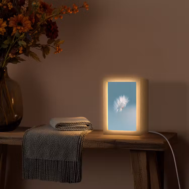 Paardenbloempluisje - Blauw - Lucht Light Box met kabel (Tafellamp) klein -sfeer4