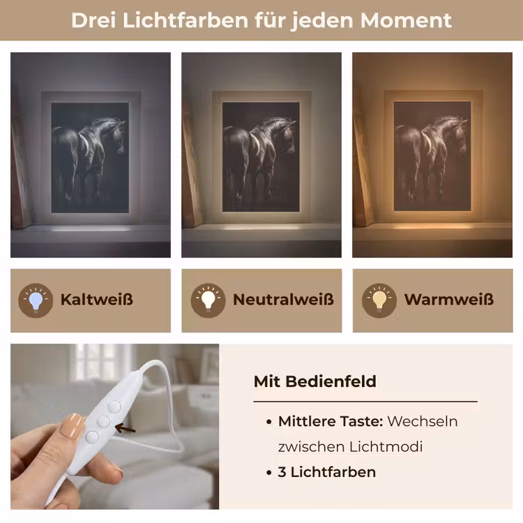 Krachtig - Paard - Donker Light Box met kabel (Tafellamp) klein -USP_lichtkleurDE