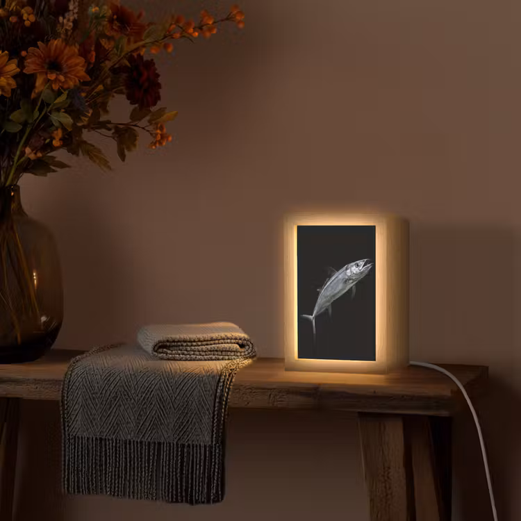 Makreel - Vis - Zwart Light Box met kabel (Tafellamp) klein -sfeer4