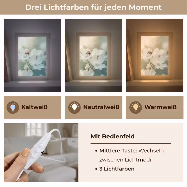 Lieveheersbeestje - Bloemen - Wit Light Box met kabel (Tafellamp) klein -USP_lichtkleurDE