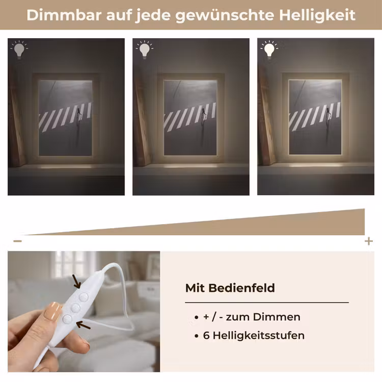Zeebrapad - Hardloper - Zwart - Wit Light Box met kabel (Tafellamp) klein -USP_dimbaarDE