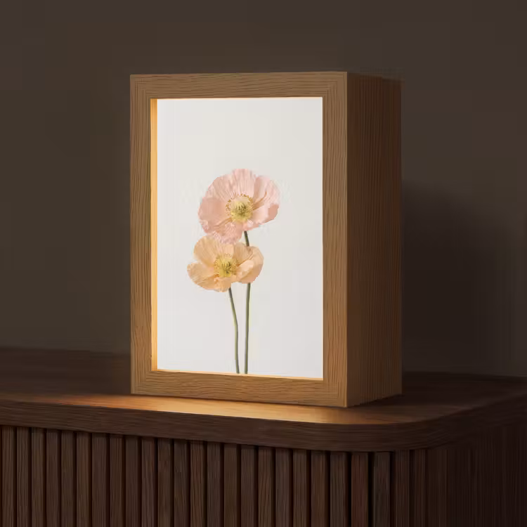 Papavers - Botanisch - Roze Light Box met kabel (Tafellamp) klein -z3d_website