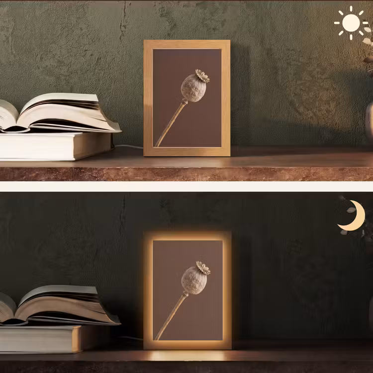 Papaverbol - Droogbloem - Bruin - Minimalistisch Light Box met kabel (Tafellamp) klein -sfeer3