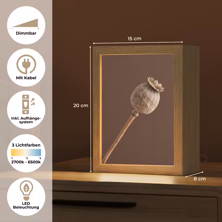 Papaverbol - Droogbloem - Bruin - Minimalistisch Light Box met kabel (Tafellamp) klein -USP_DE