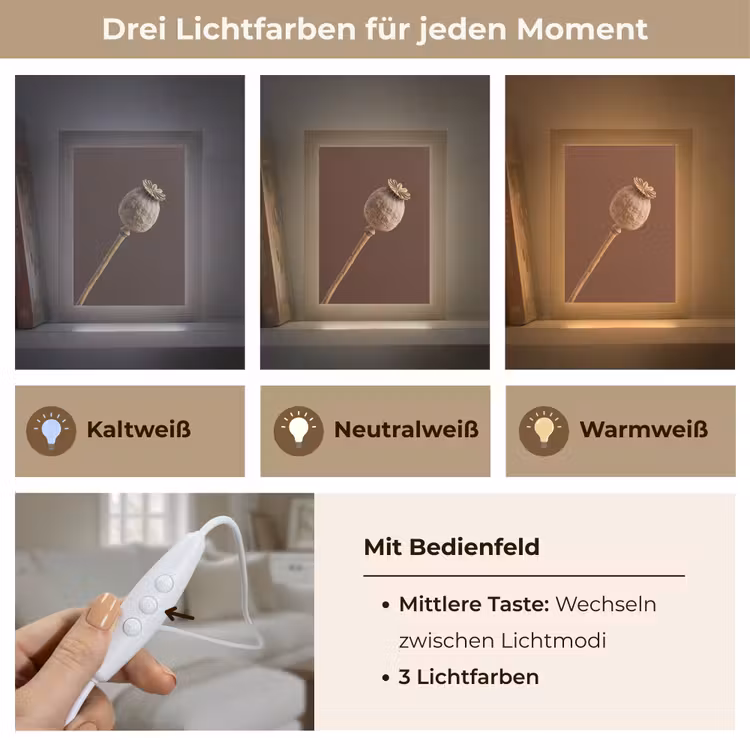 Papaverbol - Droogbloem - Bruin - Minimalistisch Light Box met kabel (Tafellamp) klein -USP_lichtkleurDE