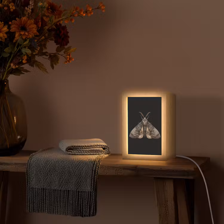 Mot - Bladachtig - Grijs Light Box met kabel (Tafellamp) klein -sfeer4