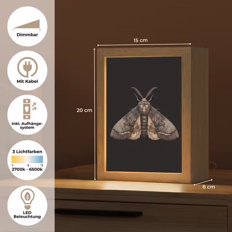 Mot - Bladachtig - Grijs Light Box met kabel (Tafellamp) klein -USP_DE