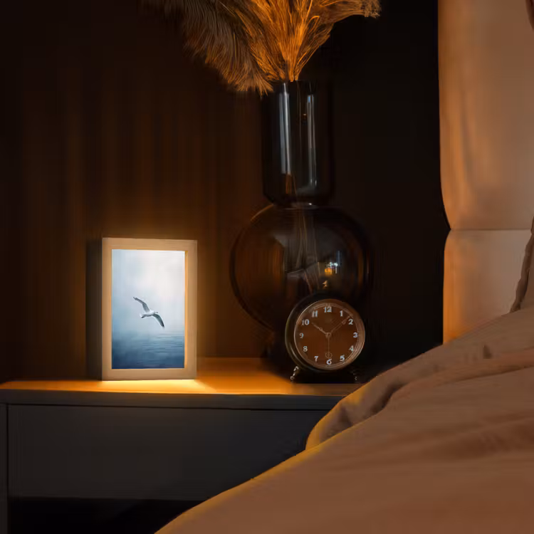 Meeuw - Wit - Zee - Mistig Light Box met kabel (Tafellamp) klein -sfeer1
