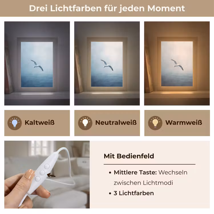 Meeuw - Wit - Zee - Mistig Light Box met kabel (Tafellamp) klein -USP_lichtkleurDE