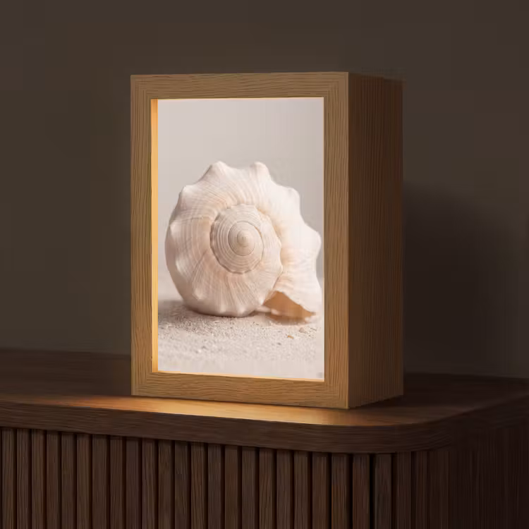 Schelp - Detail - Beige Light Box met kabel (Tafellamp) klein -z3d_website