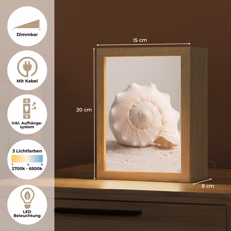 Schelp - Detail - Beige Light Box met kabel (Tafellamp) klein -USP_DE