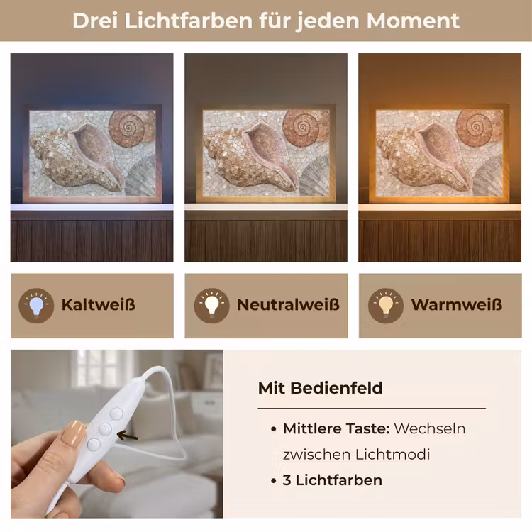 Schelp - Mozaïek - Zee - Beige - Modern Light Box met kabel (Tafellamp) klein -USP_lichtkleurDE