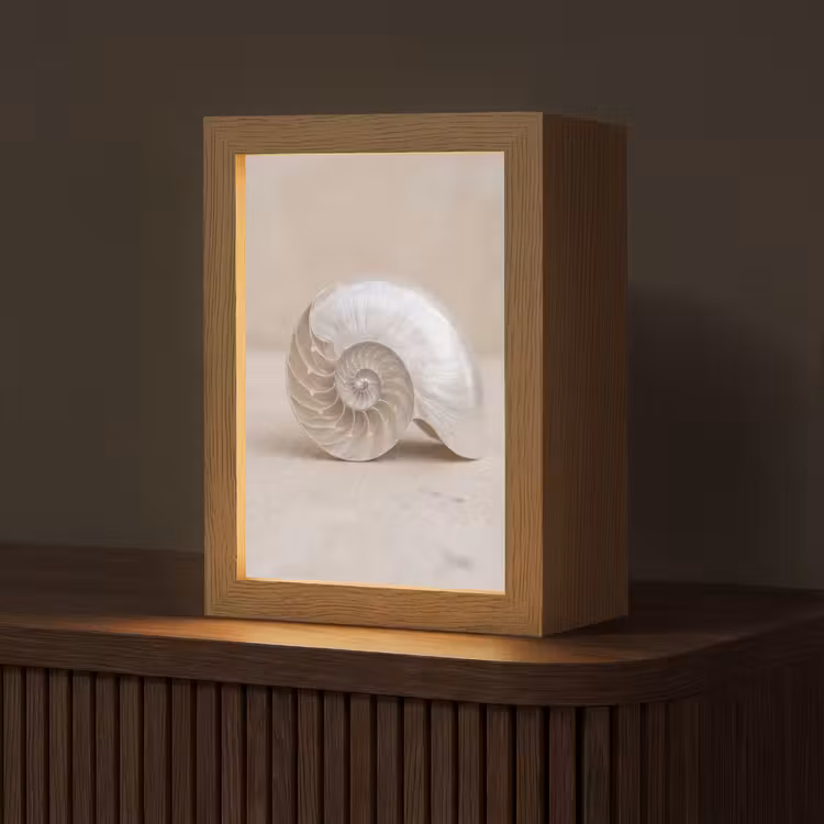Schelp - Spiraal - Beige Light Box met kabel (Tafellamp) klein -z3d_website