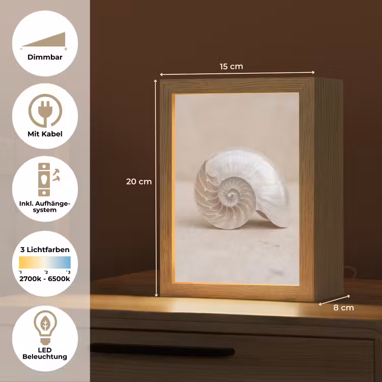 Schelp - Spiraal - Beige Light Box met kabel (Tafellamp) klein -USP_DE