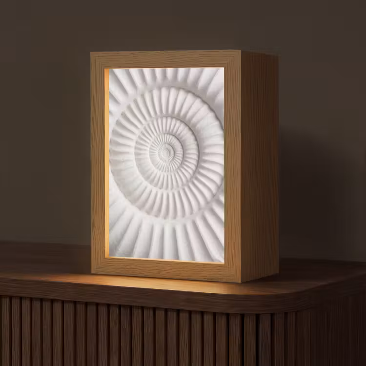 Schelp - Spiraal - Wit Light Box met kabel (Tafellamp) klein -z3d_website