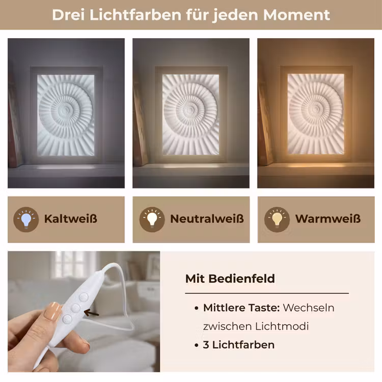 Schelp - Spiraal - Wit Light Box met kabel (Tafellamp) klein -USP_lichtkleurDE