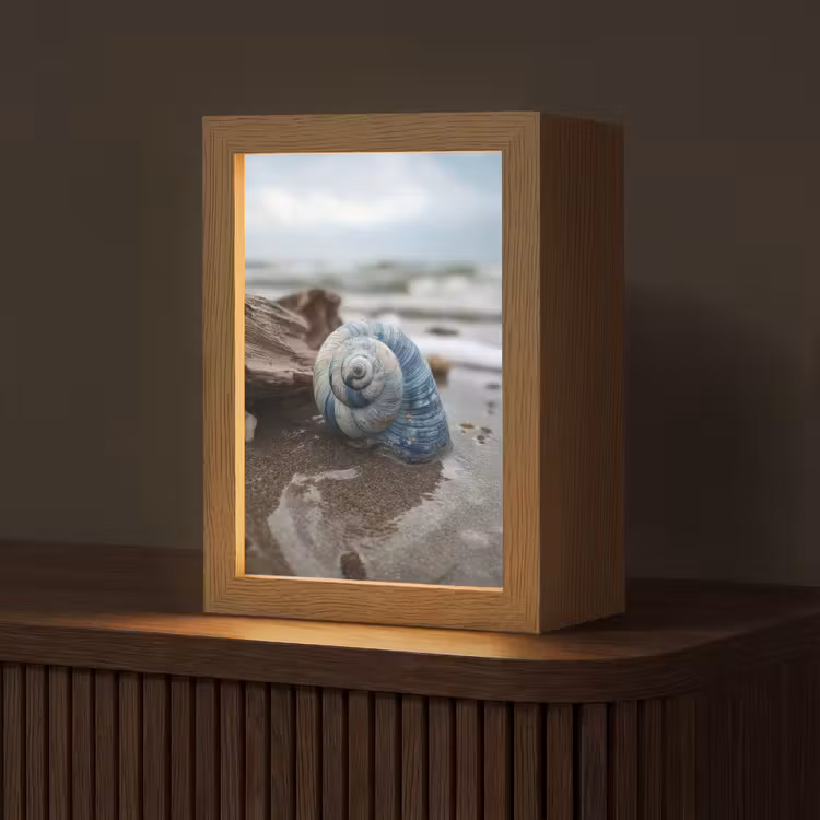 Schelp - Strand - Blauw - Zee Light Box met kabel (Tafellamp) klein -z3d_website
