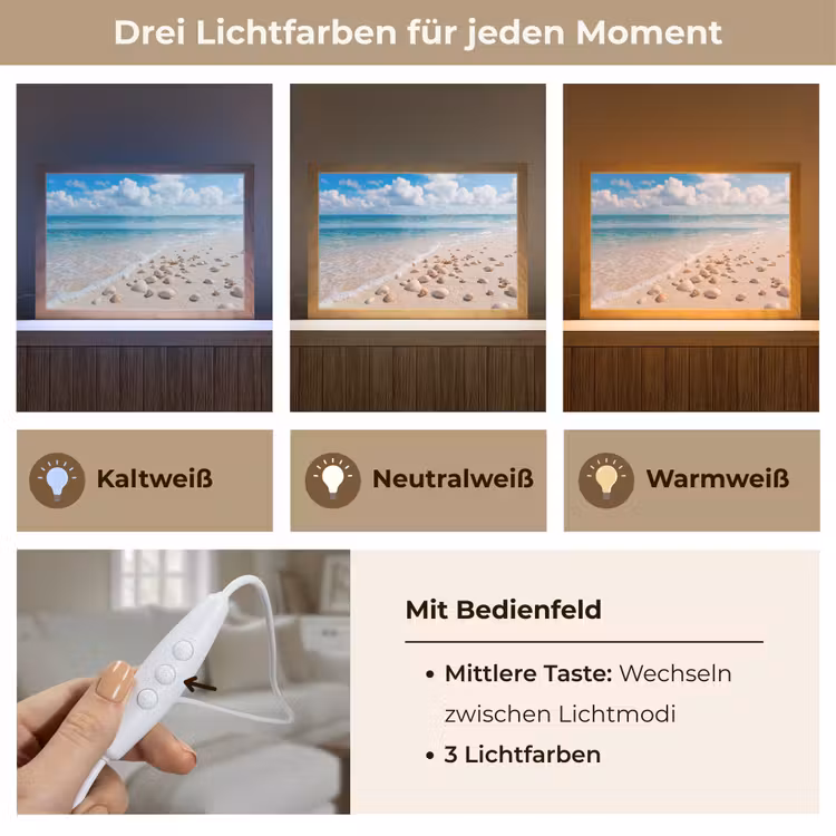 Schelpen - Strand - Natuur - Beige Light Box met kabel (Tafellamp) klein -USP_lichtkleurDE