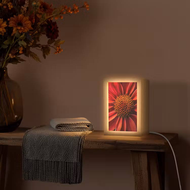 Close up - Bloem- Rood Light Box met kabel (Tafellamp) klein -sfeer4