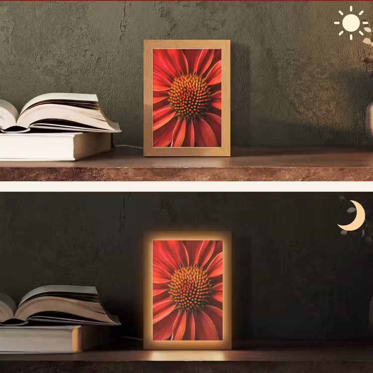 Close up - Bloem- Rood Light Box met kabel (Tafellamp) klein -sfeer3